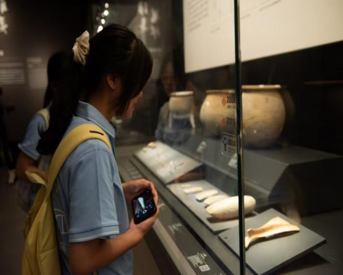 ����������W(xu��)������ഺ�С���(sh��)�`�F(tu��n)�������l(xi��ng)̽��퍣��ഺ�������}