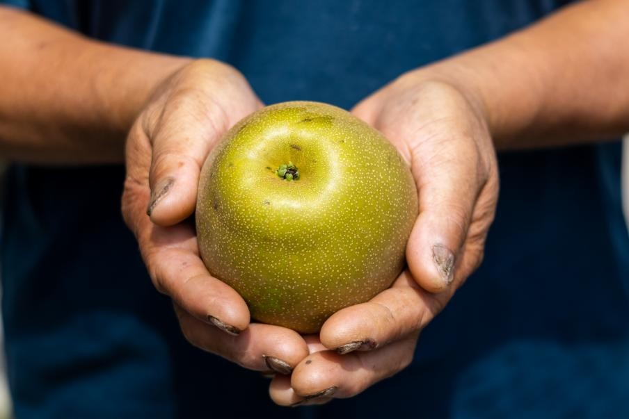 ��ѩ���֦��M�@ �ഺ���r(n��ng)�����d�� �����A���r(n��ng)�I(y��)��W(xu��)��֪��������������`�F(tu��n)����ʩ��ʼ�_չ�l(xi��ng)�����dϵ�Ќ��`