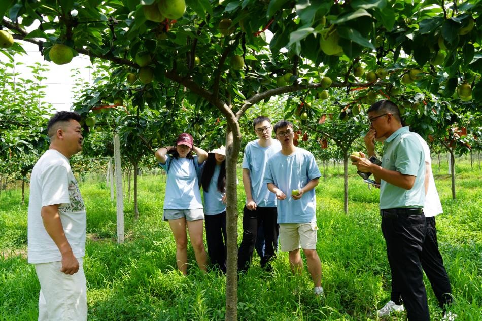 實踐團成員聽六月雪梨協會會長金啟平(左一)介紹雪梨