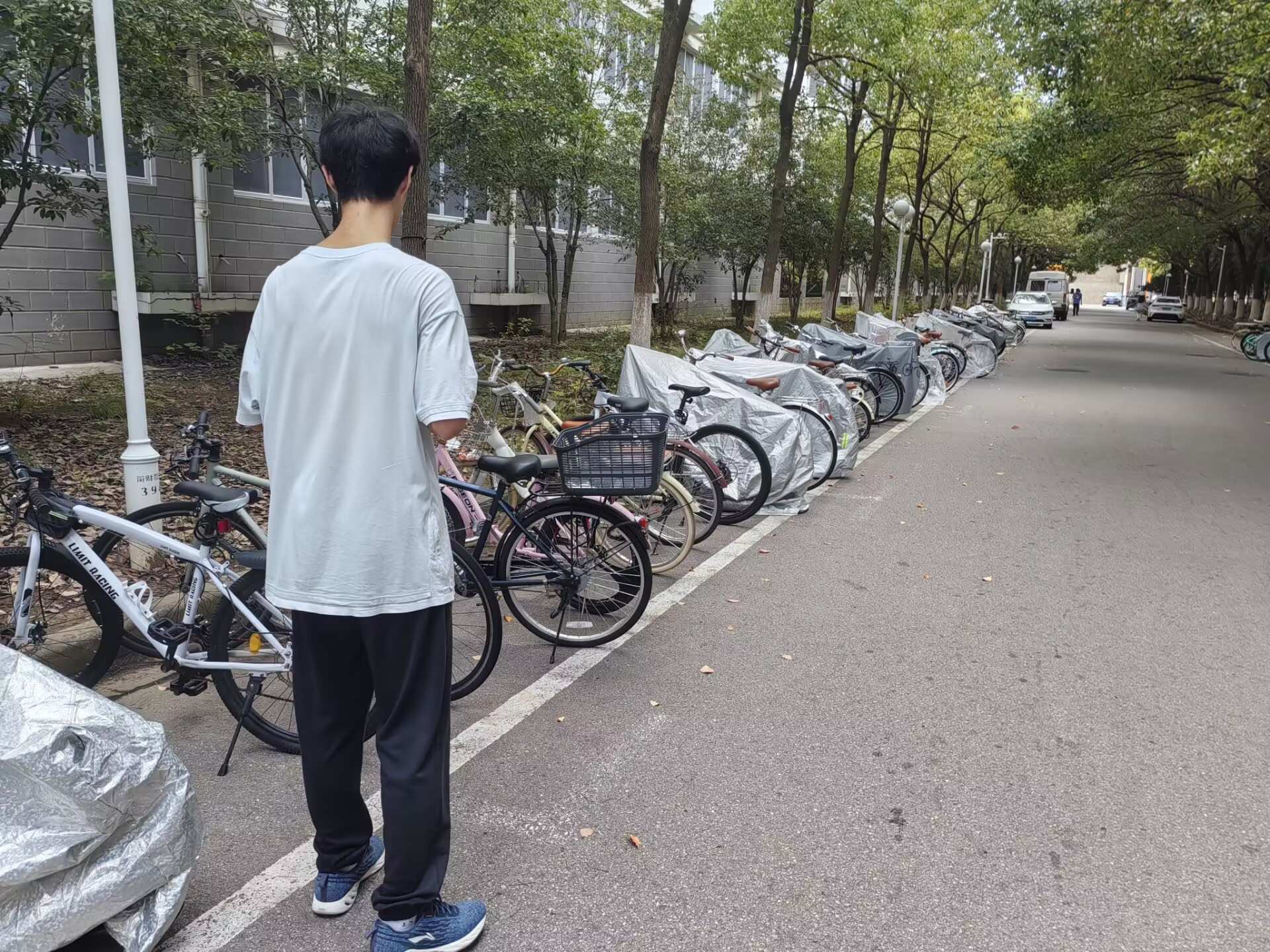 �Ͼ�ؔ����W�W���{��У�@�e������܇��̽���Gɫѭ�h��ģʽ�������p̼Ŀ�ˌ��F