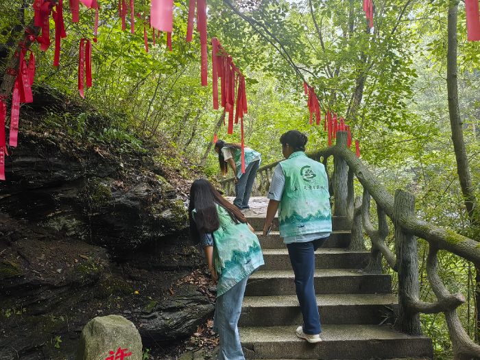 �����t(y��)ˎ�W(xu��)Ժ��ɭ���`������(sh��)�`�(du��)�����o(h��)���B(t��i)���x�ܽ���