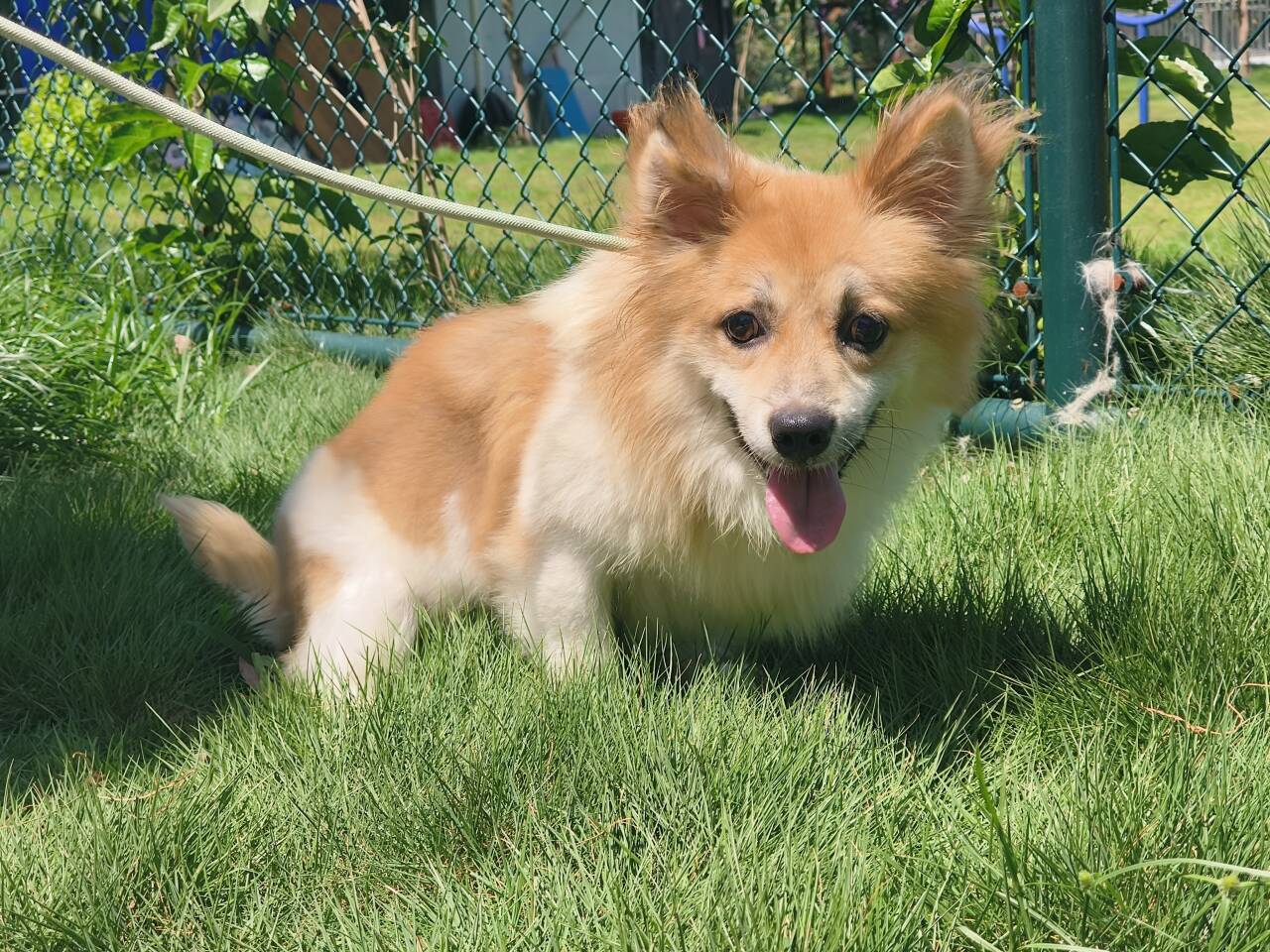 �ЌW(xu��)��(sh��)�`�����ģ��ی���Ӱů���� ���������t(y��)�����(hu��)��(sh��)�`���(d��ng)�A�M�_չ