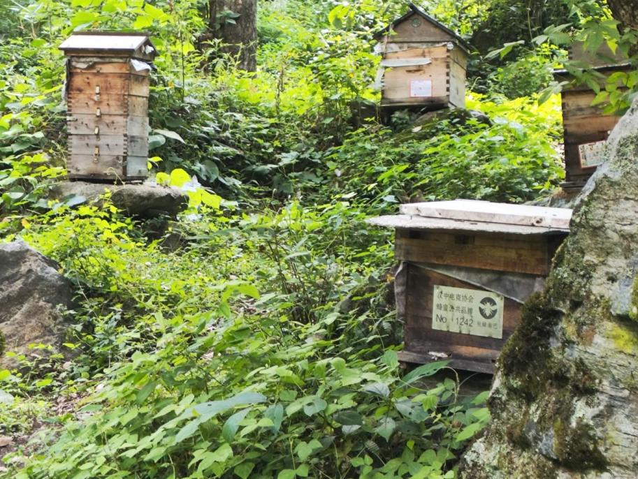 ���۵�ǧ������c��(d��ng)��̽���������(bi��o)�F(tu��n)�(du��)̽�L����(bi��o)������