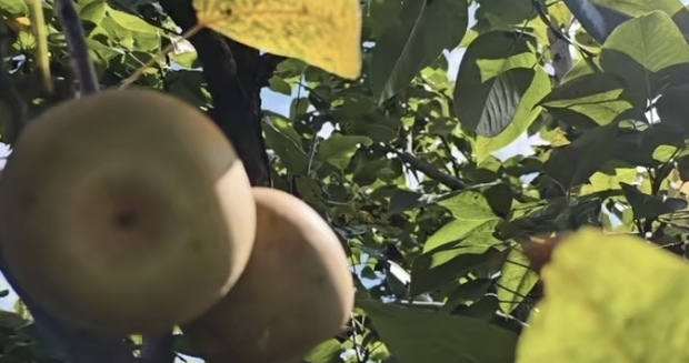 �G��x���V��ƪ|���ഺ���l(xi��ng)·������L���d����(sh��)�`�F(tu��n)���������t�G���١��ںό�(sh��)�`��ƪ