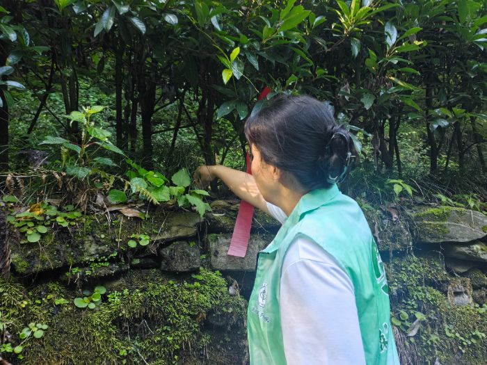 �G�a�µ��ഺ���������W(xu��)�����_�������h(hu��n)�����B(y��ng)֮·