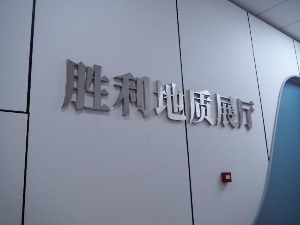 ���`�F(tu��n)���^�������|(zh��)չ�d�c�V�����ܣ��w��ʯ�;�����������