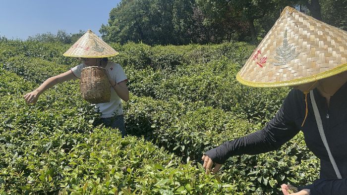 �Ϻ����������ƌWԺ�����������Сꠣ���ζ��������Ļ��ܴa