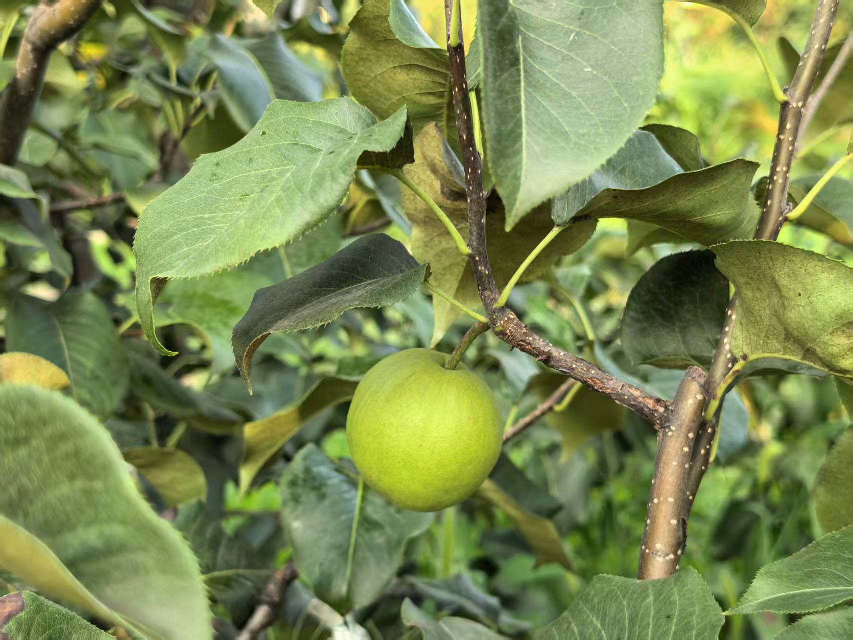 ����@���S�գ��ú�ˮ���桱���¸��T