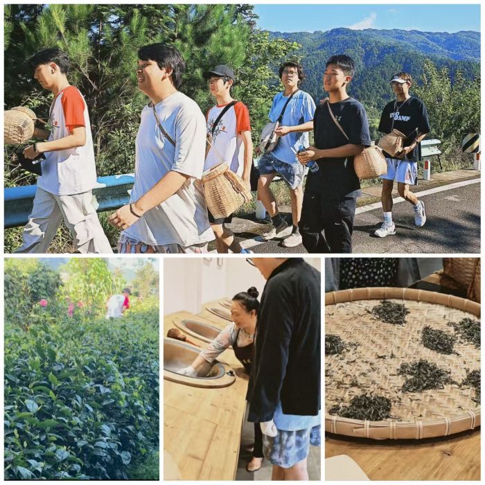 ���ƴ���ǭ�Lꠣ����ഺ֮��������|�����dע�롰�衱����