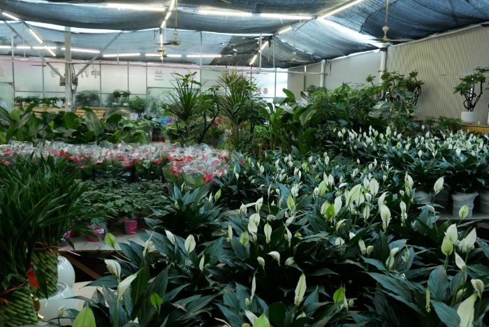 �|��W�ӆ�·�����������l��ͻȻ�����С�ײ����һ����