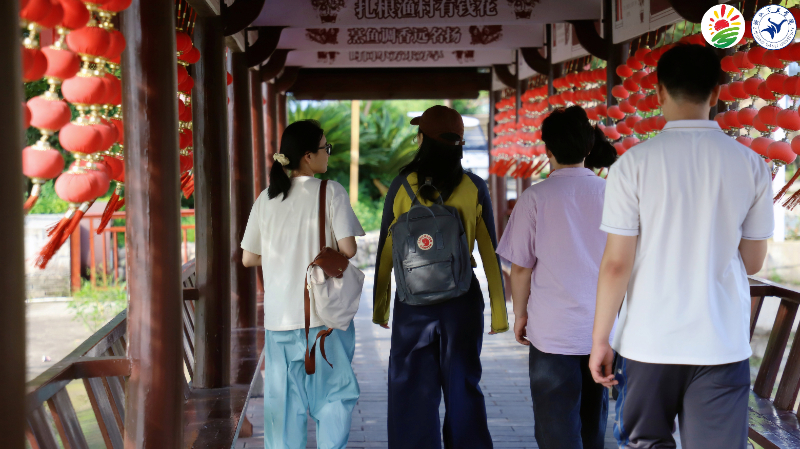 ��һ�l���������벿���ϸ����������A�c�f��W���J�롰���������������й�������ʽ