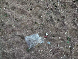 ����ɳ���h���{�ЈF�A�M�������{��