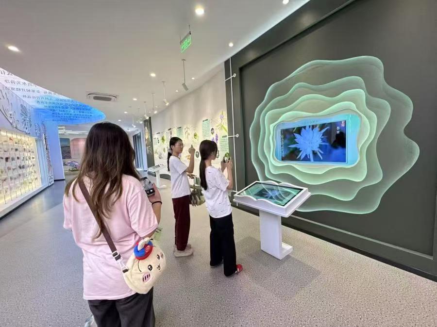 �ഺ���������fܤ ���`�x���l�����d�����d��W����������`�F�