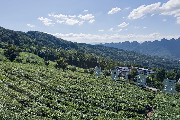 ̽����R�£���Դ�Nֲ��������a�a�N����