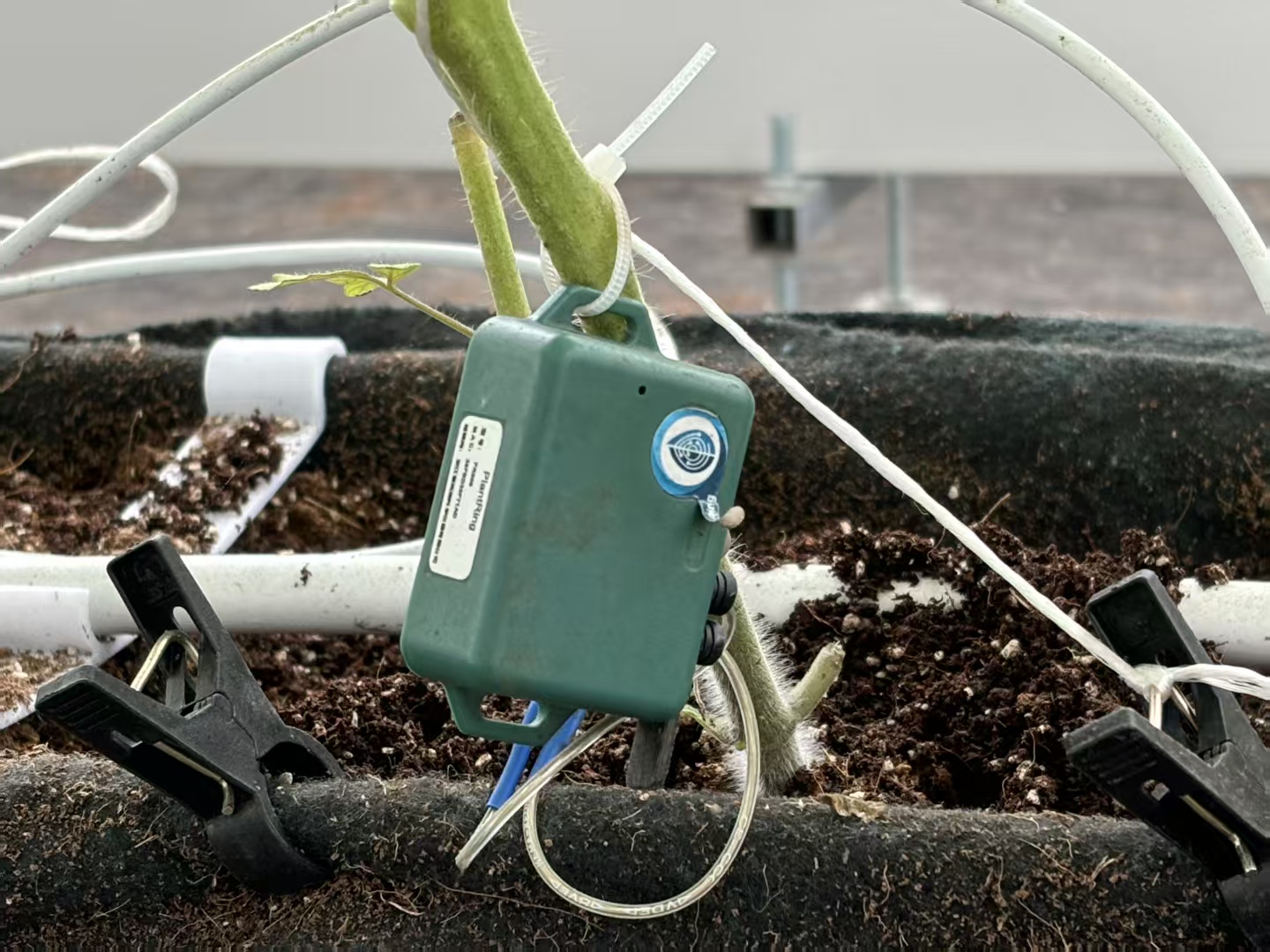  Ӌ���W������ǻ��r(n��ng)�I(y��)���ԿƼ�֮�P�L�l(xi��ng)�����d�D