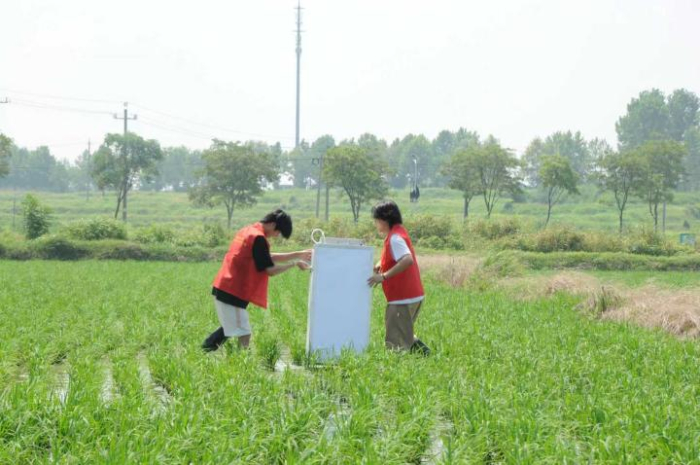 ���Ճ��̽�r�飬�ഺ���������d �������rGEFС������ό��`�o��