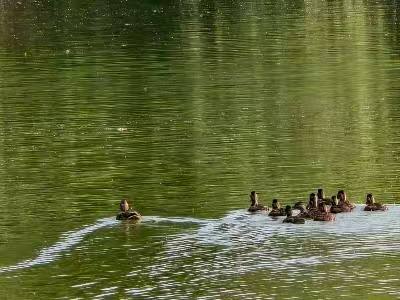 ��a�����Kˮ�}������ˮ���d�����B�ܴa